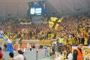 ARIS-paok 19012007  82-72  32