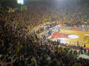 ARIS-paok 15112008  87-76  06