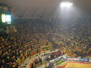 ARIS-paok 15112008  87-76  08