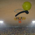 ARIS-paok 15112008  87-76  10