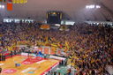 ARIS-pao 13052009  53-66  01