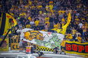 ARIS-pao 13052009  53-66  15