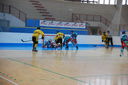 ARIS-EderaTrieste 24092009  12-6  08