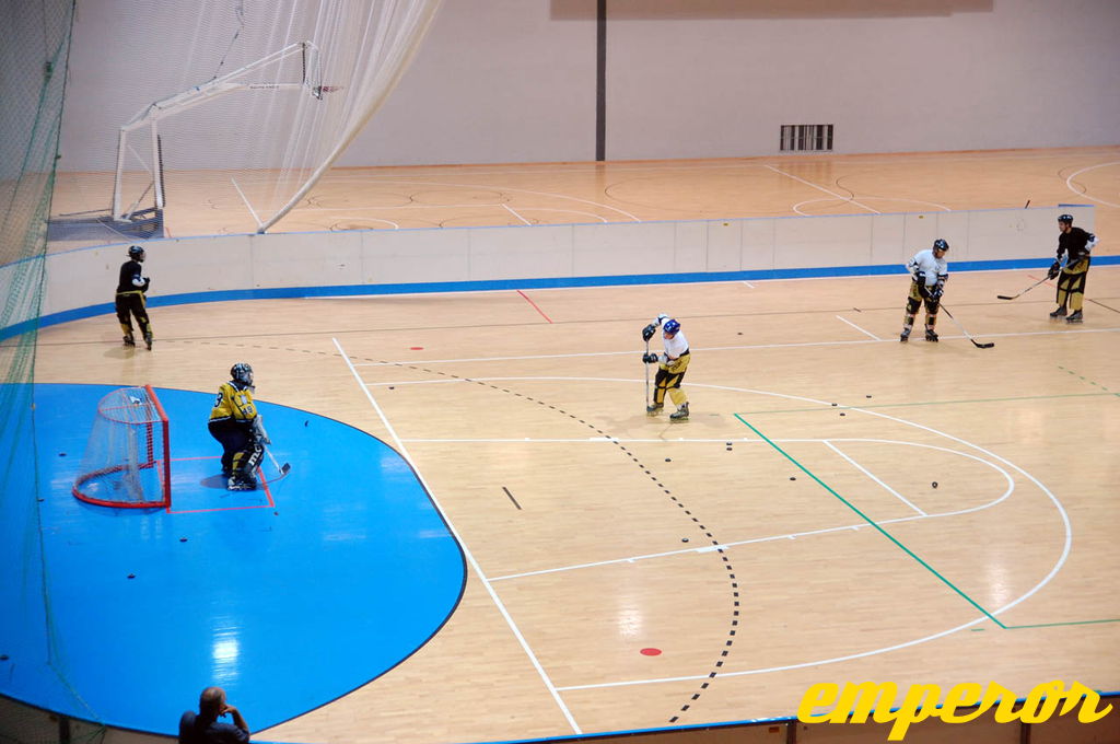 ARIS-Hockey Trieste2009 Training 01