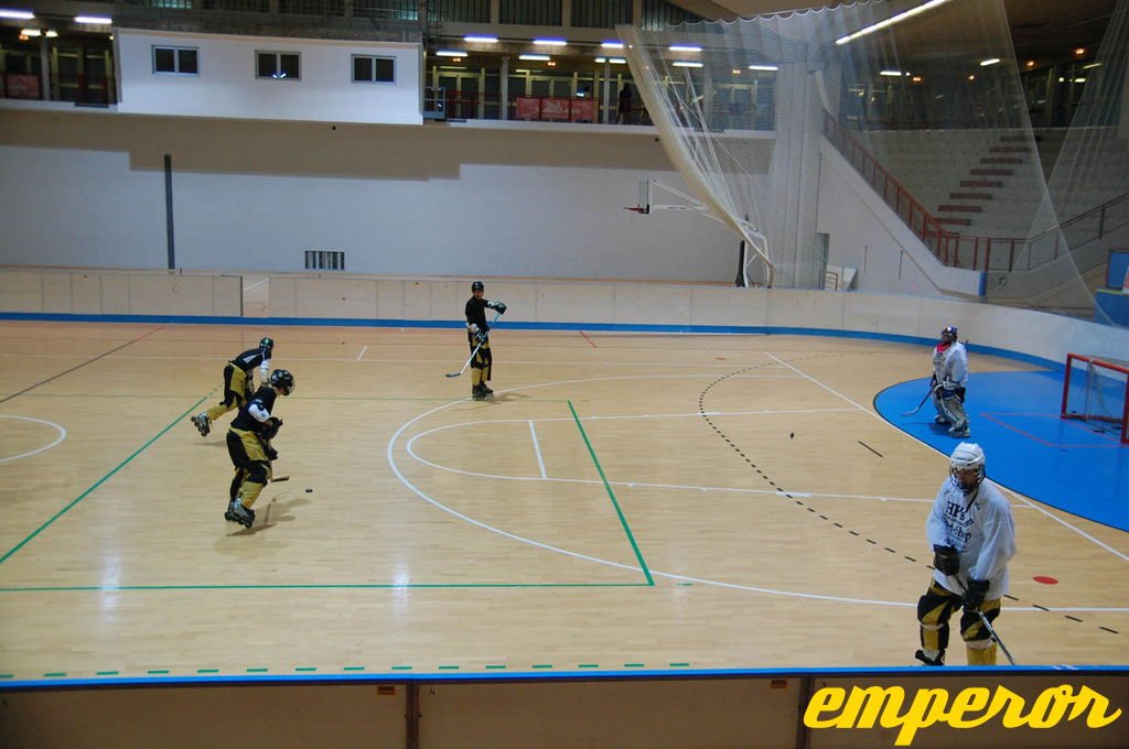 ARIS-Hockey Trieste2009 Training 02