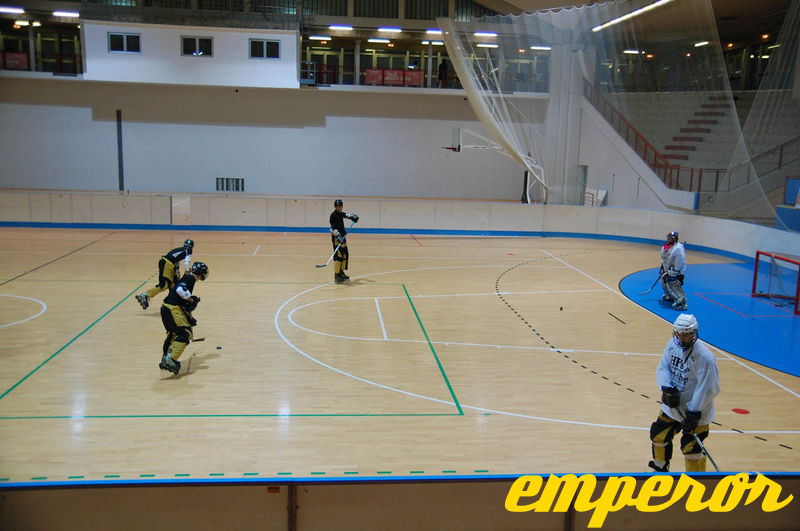 ARIS-Hockey_Trieste2009_Training_02.jpg