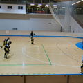 ARIS-Hockey Trieste2009 Training 02