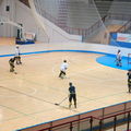 ARIS-Hockey Trieste2009 Training 05