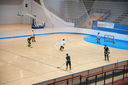 ARIS-Hockey Trieste2009 Training 05