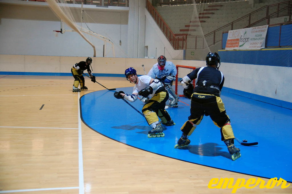 ARIS-Hockey Trieste2009 Training 07