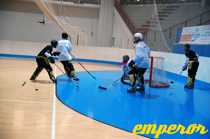 ARIS-Hockey_Trieste2009_Training_09.jpg