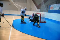 ARIS-Hockey Trieste2009 Training 10