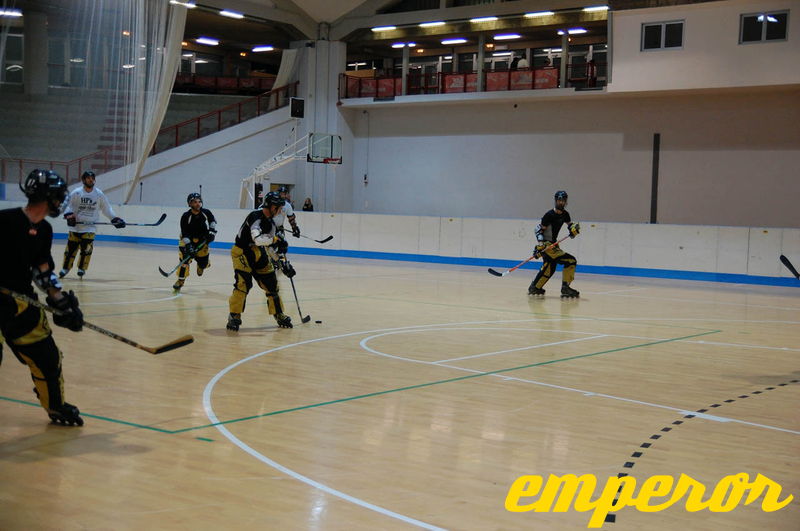ARIS-Hockey_Trieste2009_Training_11.jpg