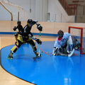 ARIS-Hockey_Trieste2009_Training_12.jpg