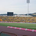 osfp-ARIS Cup Final 17052008  2-0  017