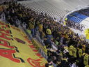 aek-ARIS 16032008  1-1  07