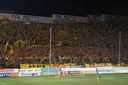 ARIS-Austria Wien 17082010  1-0  32