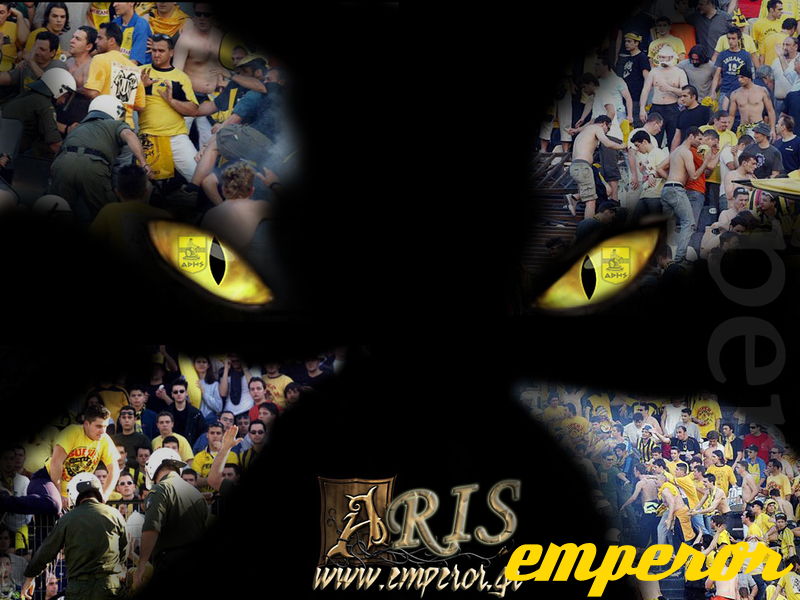 ARIS cat eyes 1024 - ARIS_cat_eyes_1024.jpg ARIS_cat_eyes_1024.jpg