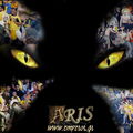 ARIS cat eyes 1024