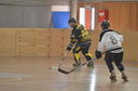 Roller Hockey