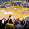 ARIS-osfp-30-3-2013-68-84__11.jpg