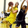 ARIS-paok-52-47-11-4-2013-Telikos-Korasidon-Ekasth  7 1