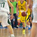 Teliki-Fasi-Efibiko-Basket-Panathinaikos-ARIS-12-05-2013-80-89 5 1