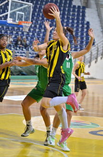 ARIS-Panathinaikos(03-11-2013)61-70  14